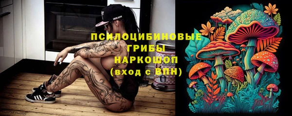 дживик Аркадак